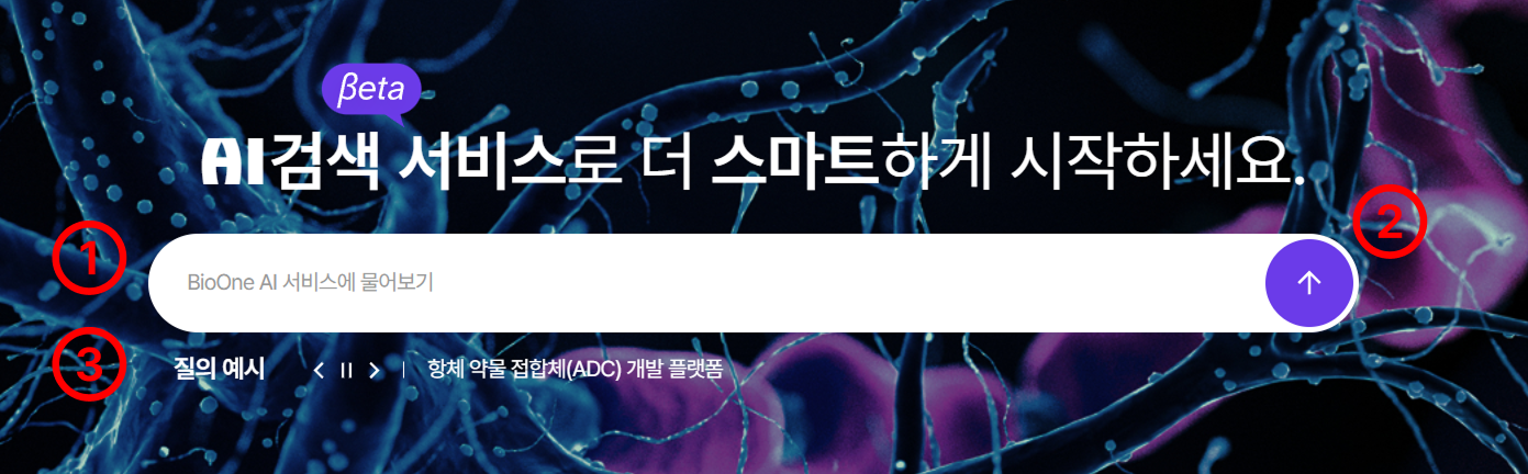 검색 질의 입력 UI